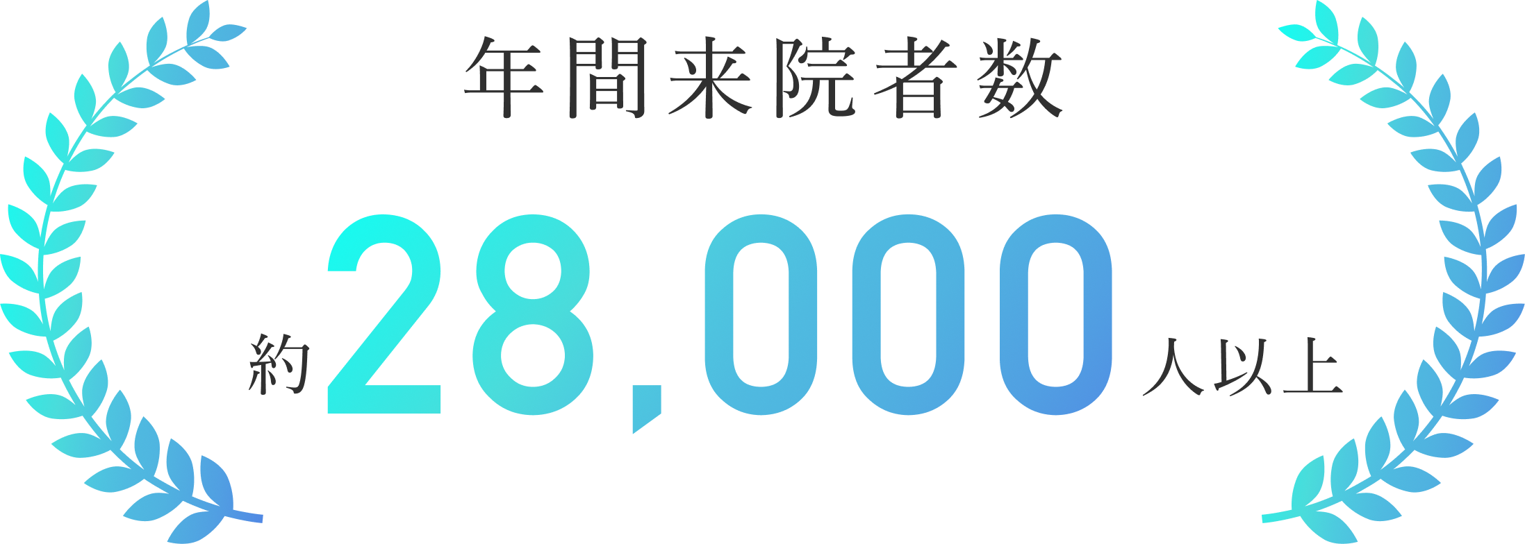 年間来院者数　約28,439人以上